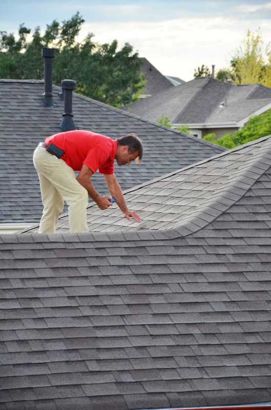 Roof Inspection in Mild Seasons